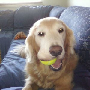 Meet your Posher, Shari