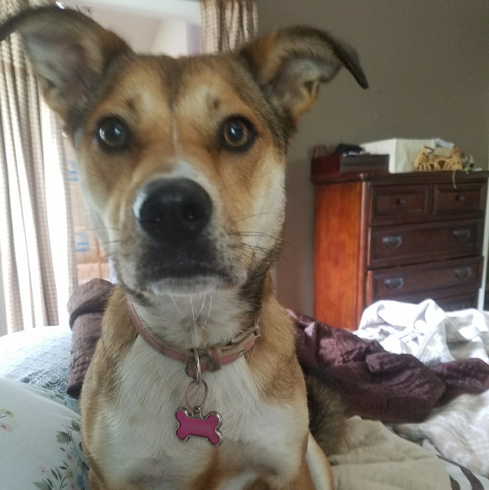 Meet your Posher, Chrystal