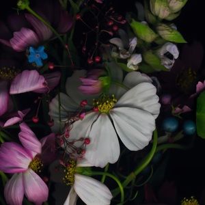 Meet your Posher, Jaimie