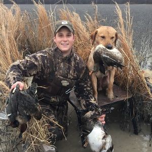 Meet your Posher, William