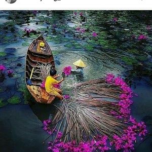 Meet your Posher, Maria