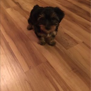 Meet your Posher, Marta