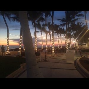 Meet your Posher, Ellen