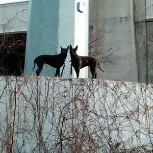 Meet your Posher, Jon