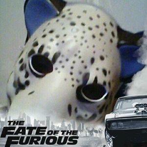 Meet your Posher, Alberto