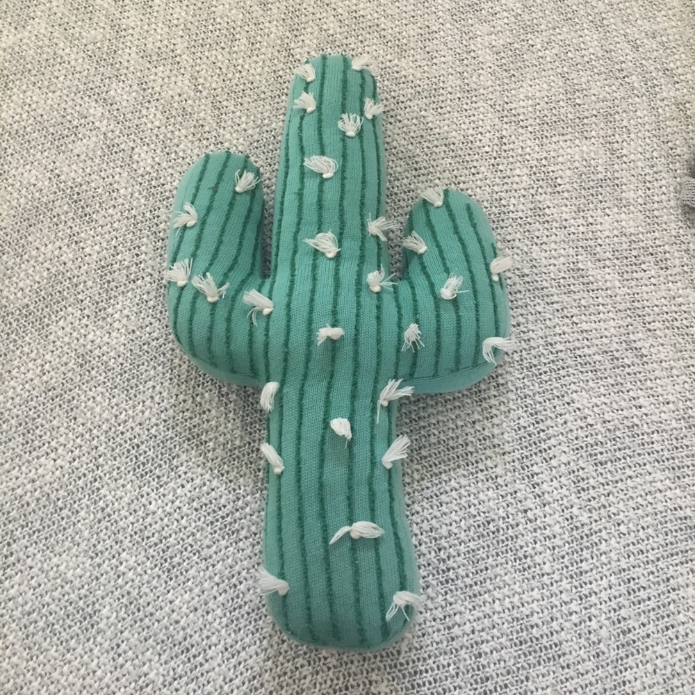 Cactus pillow