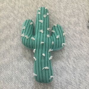 Cactus pillow
