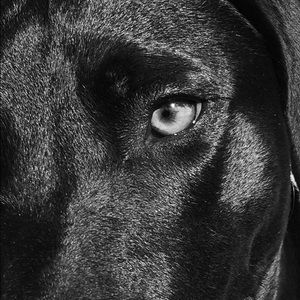 Meet your Posher, Shelly