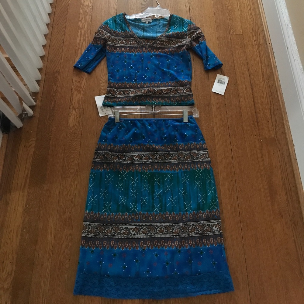 NWT Beautiful 2-piece skirt and top