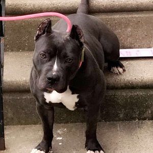 Meet your Posher, Joseph