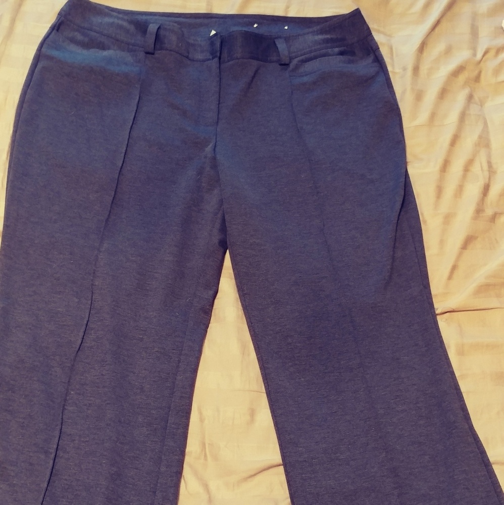 Woman's Cato 20w Dress pants