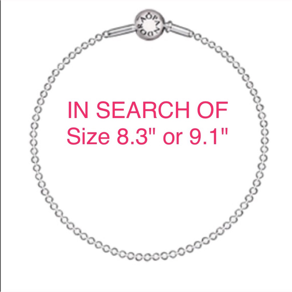 🛑LOOKING FOR ESSENCE 8.3"/9.1"🛑