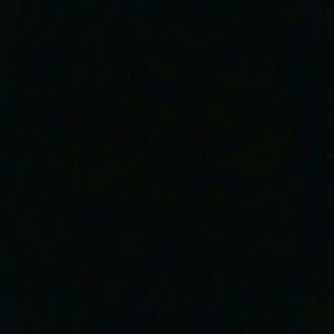 Meet your Posher, Bridget