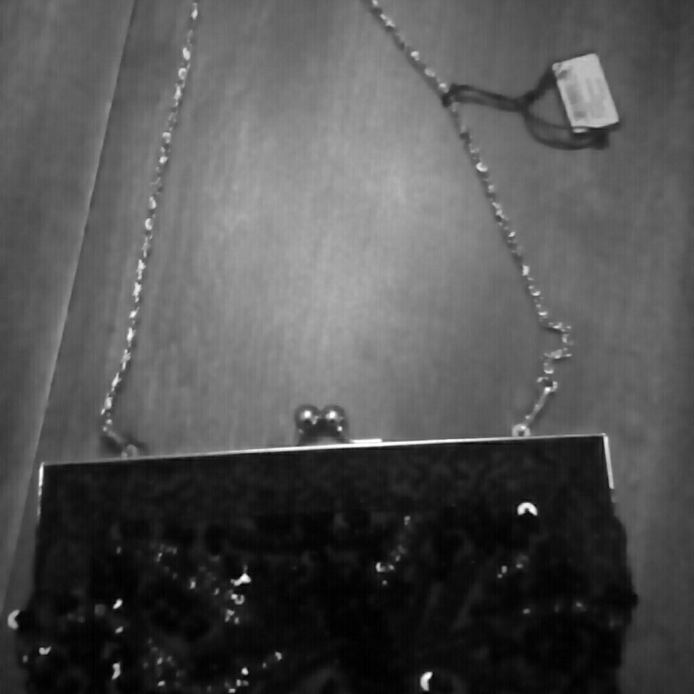 Bijoux Terner evening bag.