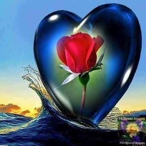 Meet your Posher, Rosalba