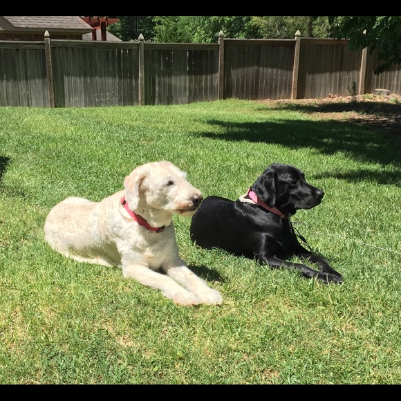 Meet your Posher, Jade - Picture 9 of 14