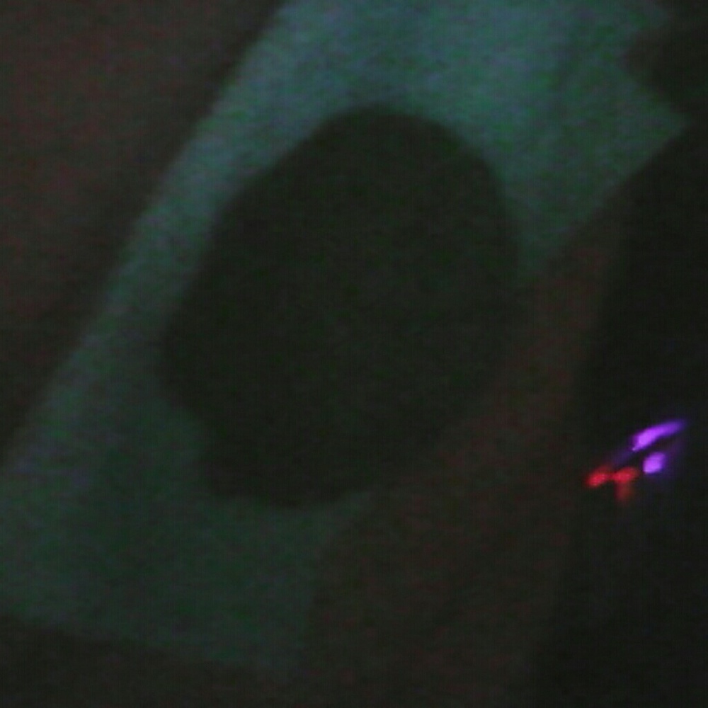 Meet your Posher, Steven