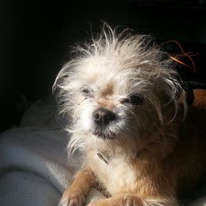 Meet your Posher, Tami