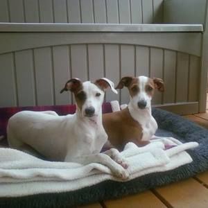 Meet your Posher, Kelli