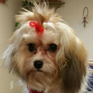 Meet your Posher, Sharon