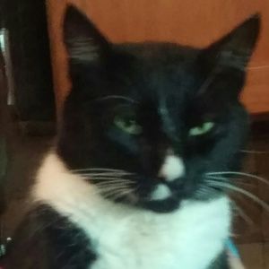 Meet your Posher, Meghan