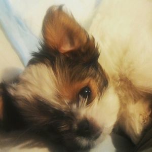 Meet your Posher, Kawauna