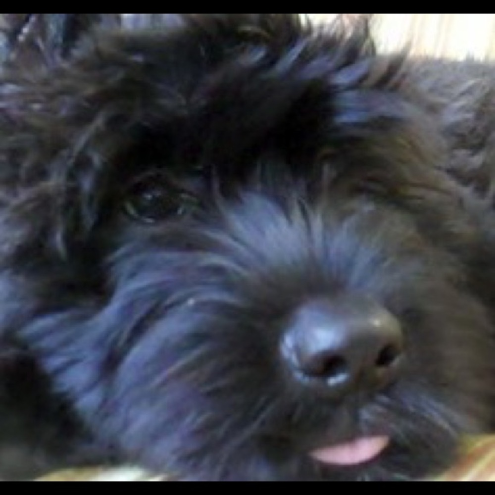 Meet your Posher, Julie