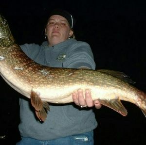 Meet your Posher, Billie