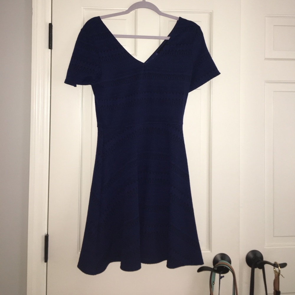 Blue Rair Skater Dress