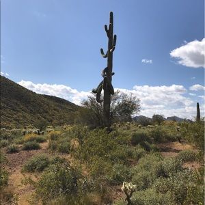 Meet your Posher, Alexia