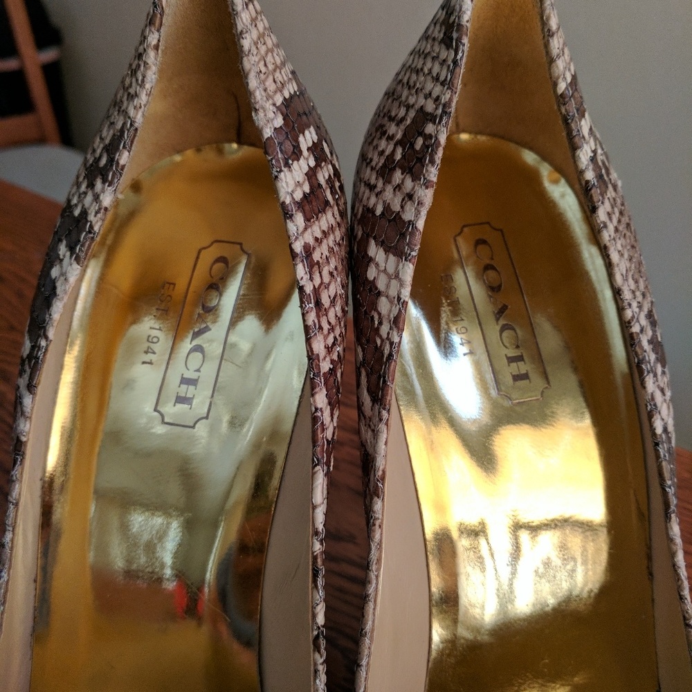 Coach Nala Python Heels - image 4