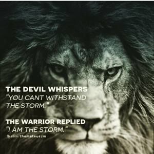 Meet your Posher, Jay