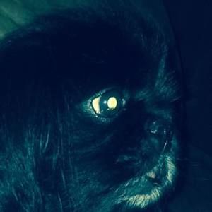 Meet your Posher, Damion