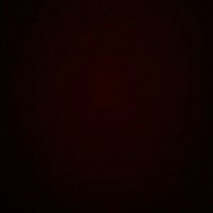 Meet your Posher, Noel