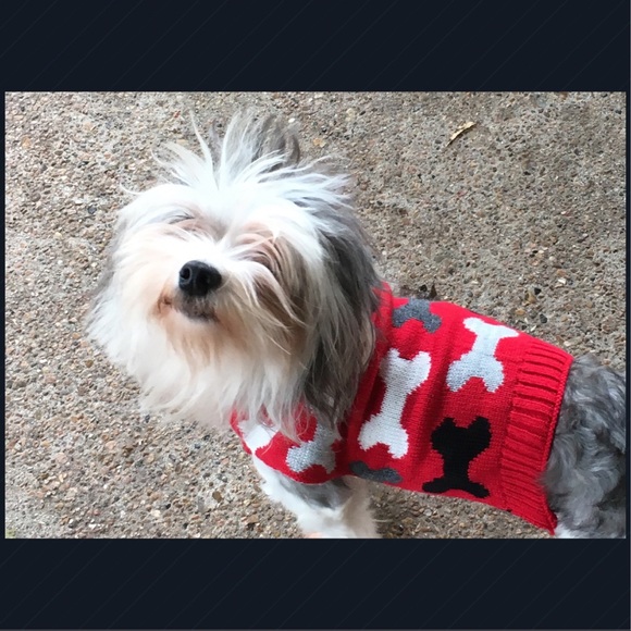 Meet your Posher, Carla - Picture 3 of 8