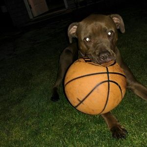 Meet your Posher, Derek