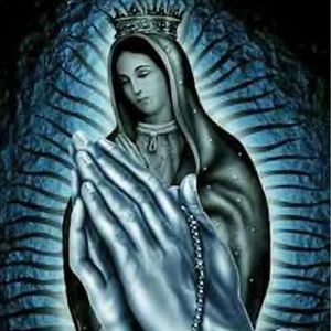 Meet your Posher, Lisita