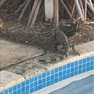 Meet your Posher, Kristine