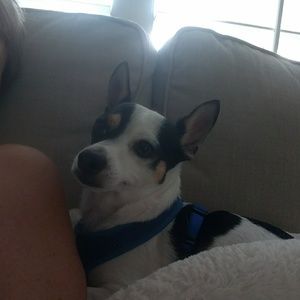 Meet your Posher, Ann