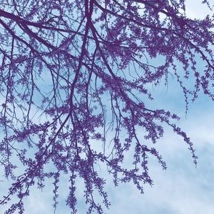 Meet your Posher, Mason