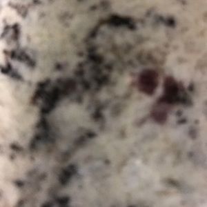 Meet your Posher, Antonietta