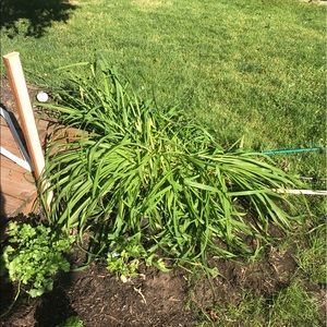 Meet your Posher, Becka