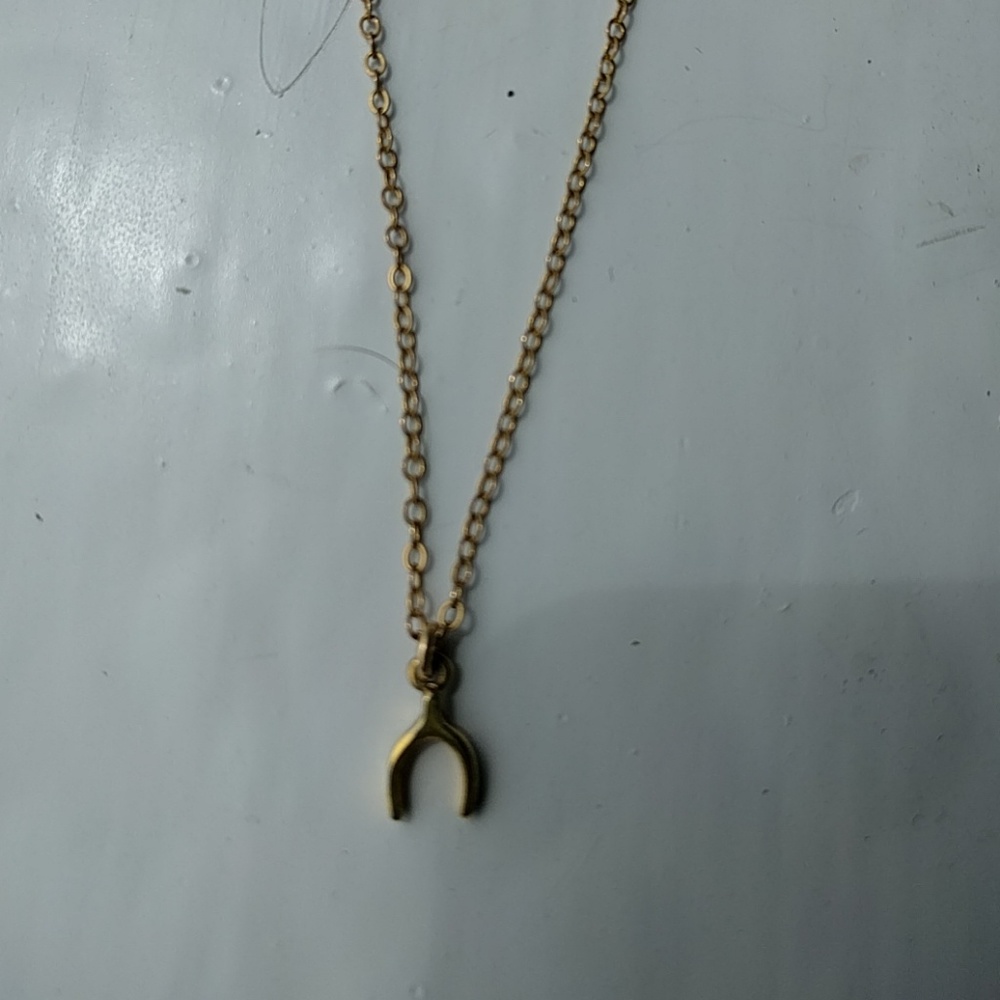 Jessica Elliot wishbone necklace