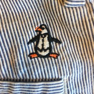 Penguin Men's Shorts