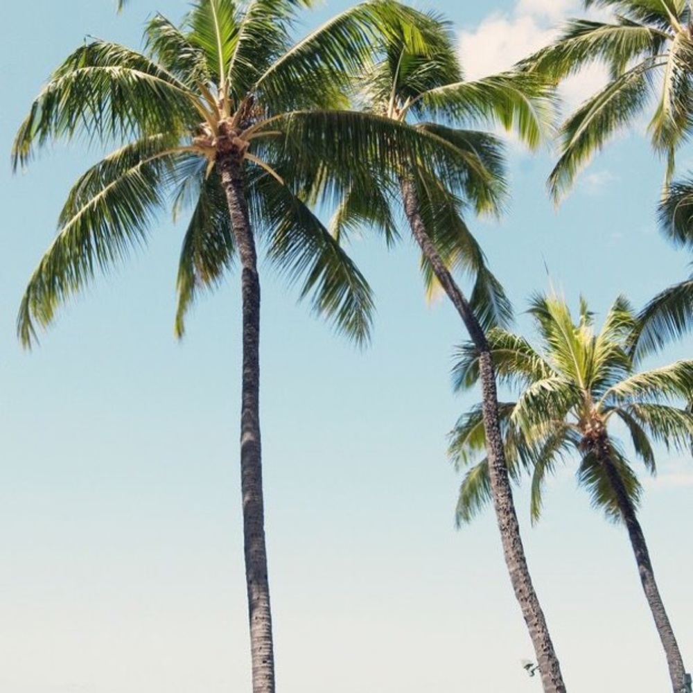 Meet your Posher, Natalia