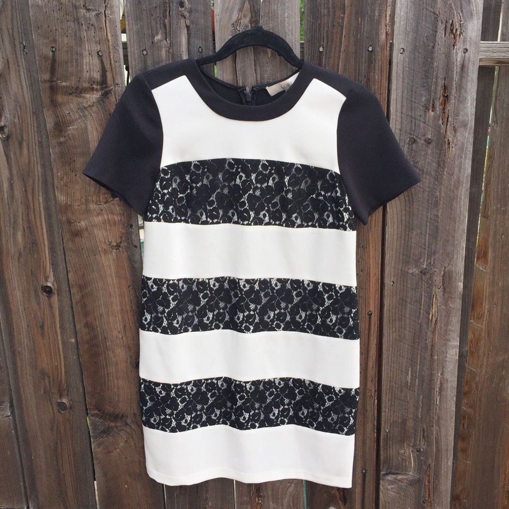 [Ann Taylor] B&W Lace Stripped Dress