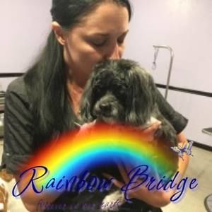 Meet your Posher, Lacey