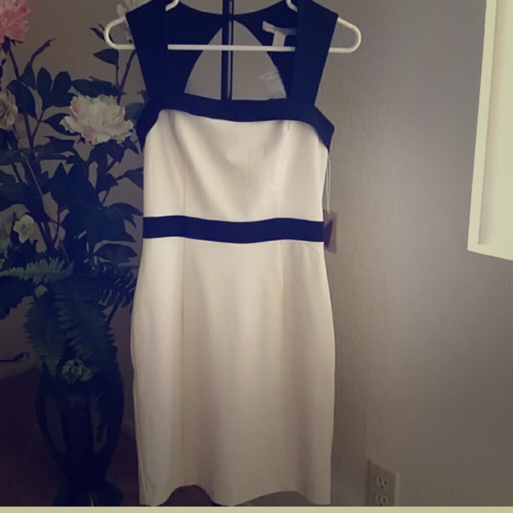 NWT Black & Cream Work/Party Dress. Size XS!
