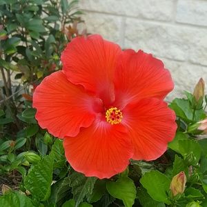 Meet your Posher, Iuliana