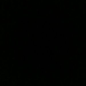 Meet your Posher, Armando